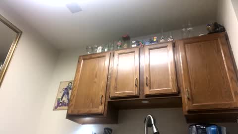 Snapshot of phildoesart chatting on February 2, 2:38 am Phil online show from February 2, 2:38 am