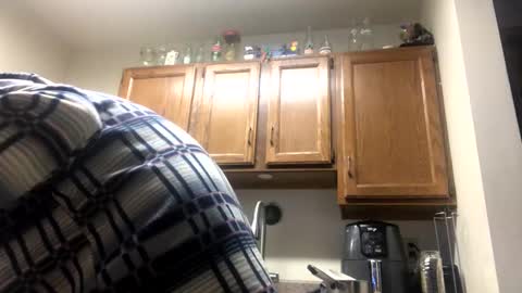 Snapshot of phildoesart chatting on February 3, 1:19 am Phil online show from February 3, 1:19 am