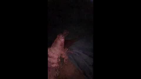 philllllll508346 online show from December 21, 5:47 am