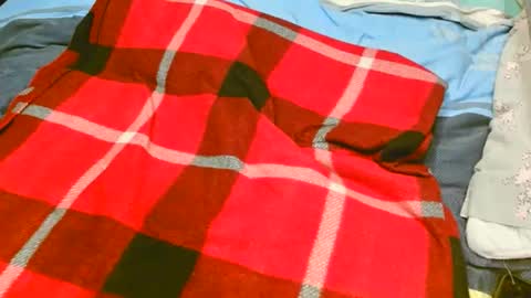 Snapshot of pinewoodman chatting on November 10, 7:07 am pinewoodman online show from November 10, 7:07 am