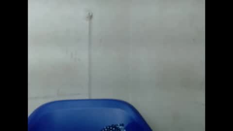 pinkxsugar online show from September 10, 6:13 am