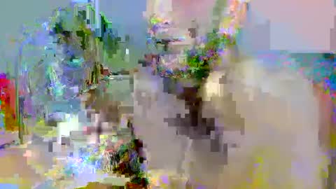 pipe_sexxx online show from October 14, 2:34 am
