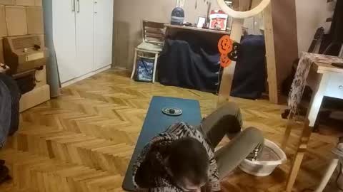 Snapshot of pisces922 chatting on December 20, 12:56 pm Dominik online show from December 20, 12:56 pm