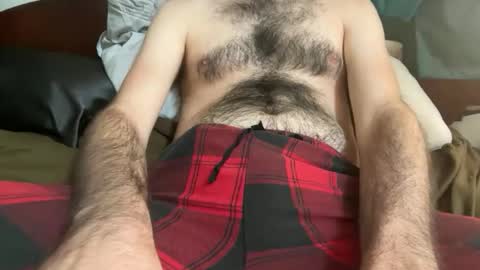 Snapshot of pistilstamen chatting on December 4, 6:49 pm pistilstamen online show from December 4, 6:49 pm