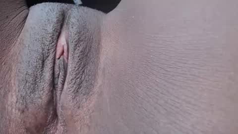 pixel online show from November 27, 6:43 pm