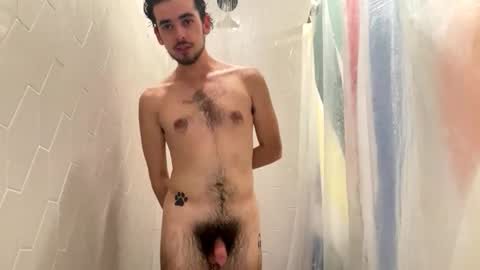 Pluto The Pup online show from November 18, 8:46 pm