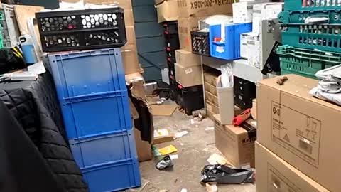 po13o online show from October 29, 10:17 am