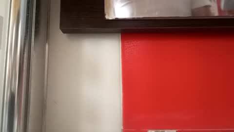 pollonmix online show from September 11, 10:59 am