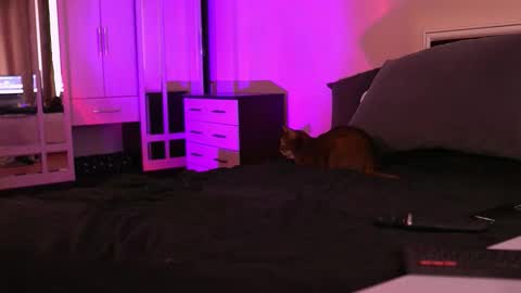 Megan.online  online show from September 17, 1:02 pm