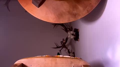 PornStriker online show from October 19, 4:24 am