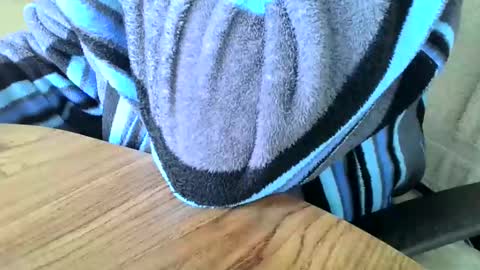 poshman65 online show from December 29, 11:29 am