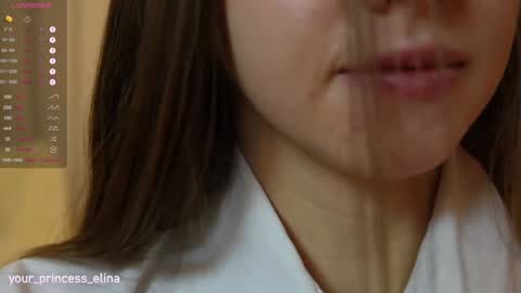 Snapshot of pretty_princess_elina chatting on January 25, 5:30 pm Elina online show from January 25, 5:30 pm