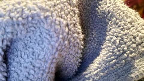 PrettyPrick4U online show from January 22, 1:42 pm