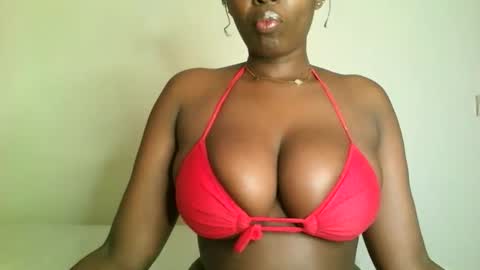 Snapshot of prettyvishy chatting on November 15, 2:20 am prettyvishy online show from November 15, 2:20 am