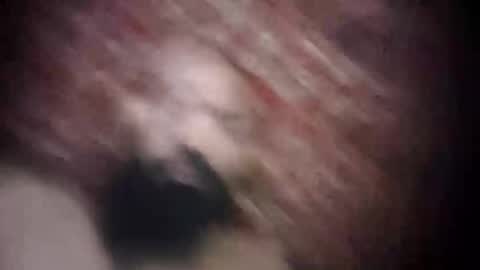 princeabdawal online show from November 3, 5:36 pm