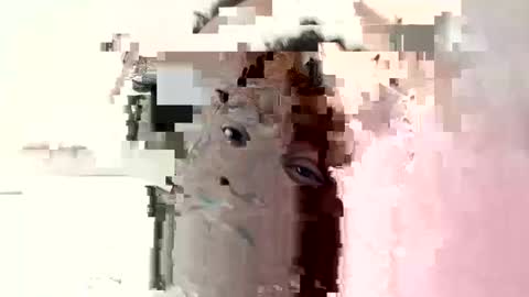 Princess Asshole online show from October 6, 10:45 am