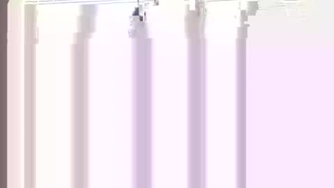 Princess Asshole online show from April 21, 12:22 pm