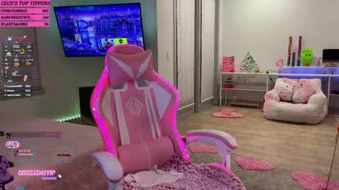 Snapshot of princess_cece chatting on February 12, 4:01 am Cece NEXT LIVESTREAM -- DEC. 4th 7 PM CST online show from February 12, 4:01 am
