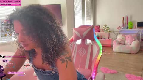 Snapshot of princess_cece chatting on February 13, 4:39 pm Cece NEXT LIVESTREAM -- DEC. 4th 7 PM CST online show from February 13, 4:39 pm