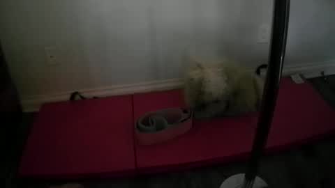 Snapshot of princesskimami chatting on October 25, 12:40 am princesskimami online show from October 25, 12:40 am