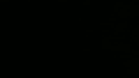 privinicy online show from February 1, 3:10 pm