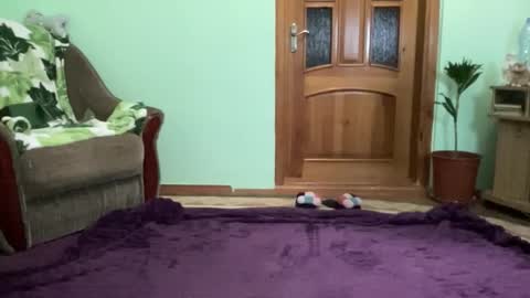 Snapshot of proud_sweet_21 chatting on September 8, 9:58 pm proud sweet 21 online show from September 8, 9:58 pm