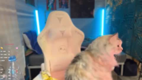 Queen of Pain online show from March 7, 4:04 pm