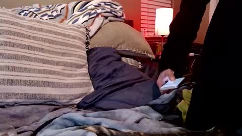 Sk8wave online show from February 10, 7:56 am