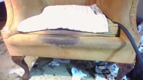 pspee313 online show from April 11, 7:45 am