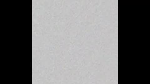 Snapshot of psychoted chatting on November 9, 11:19 am Basti or Baaaaasti online show from November 9, 11:19 am