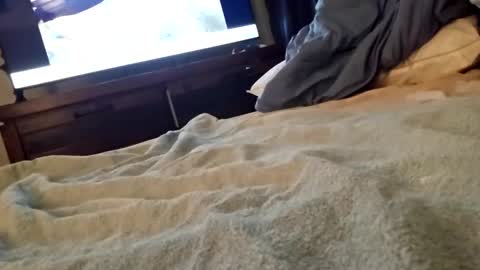 ptut82 online show from September 18, 7:10 am