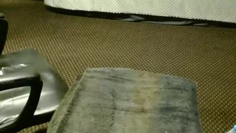 Jojo online show from November 25, 8:42 pm