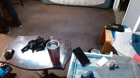 Jojo online show from April 2, 5:38 am