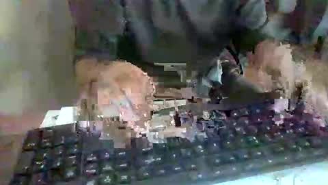 Snapshot of pup_y chatting on September 17, 2:52 pm pup_y online show from September 17, 2:52 pm