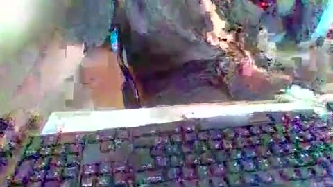 Snapshot of pup_y chatting on September 20, 3:02 pm pup_y online show from September 20, 3:02 pm