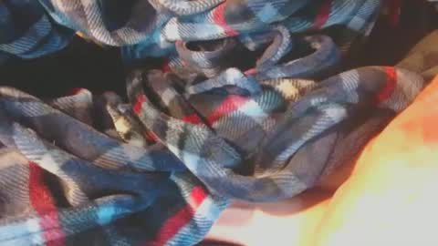 Snapshot of pupscrote chatting on January 17, 3:12 am Pup Scrote online show from January 17, 3:12 am