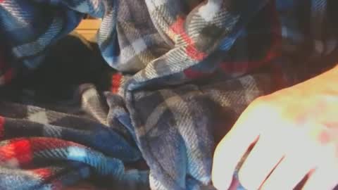 Snapshot of pupscrote chatting on February 10, 5:14 am Pup Scrote online show from February 10, 5:14 am