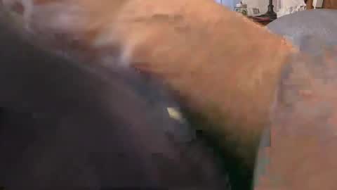 purdyguy7777 online show from February 24, 2:15 pm