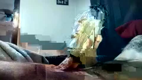 Snapshot of pussyluver420kik909587 chatting on October 1, 8:15 pm Pussyluver420 online show from October 1, 8:15 pm