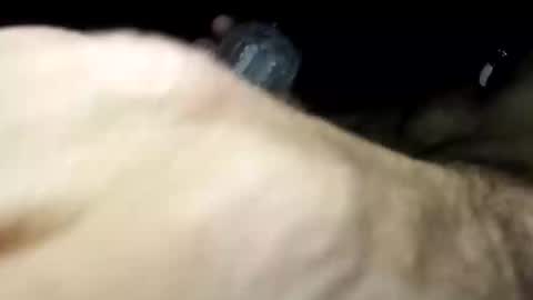 Snapshot of pussyluver420kik909587 chatting on November 11, 6:57 am Pussyluver420 online show from November 11, 6:57 am