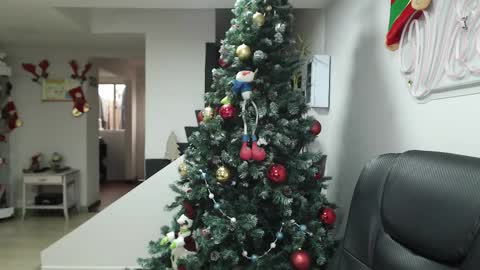 Snapshot of queen_zafiro88 chatting on November 17, 12:33 pm Zafiro ILL BROADCAST UNTIL DECEMBER Onlyfans online show from November 17, 12:33 pm