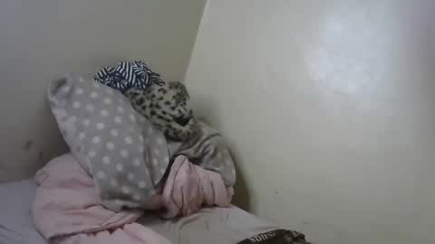 melly online show from January 31, 11:13 am