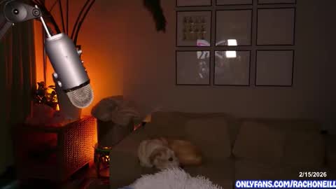 Snapshot of rach_oneill chatting on February 15, 5:31 pm Rach ONeill online show from February 15, 5:31 pm