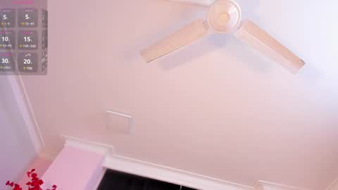 Rachel online show from January 24, 11:37 am