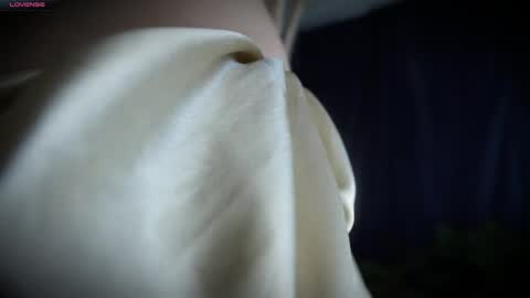 ada online show from April 17, 10:29 am