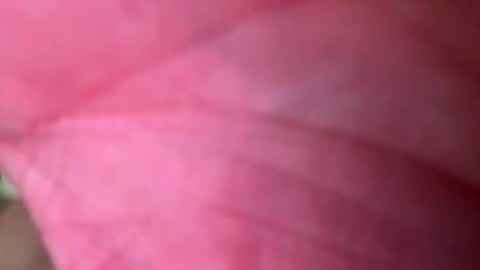 Snapshot of ragerd420 chatting on February 24, 11:14 pm ragerd420 online show from February 24, 11:14 pm