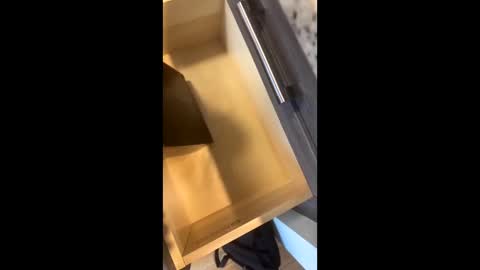 Snapshot of rainbow_randolf chatting on November 22, 7:57 pm Rainbow Randolf online show from November 22, 7:57 pm