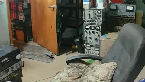 Randall online show from April 21, 12:56 am