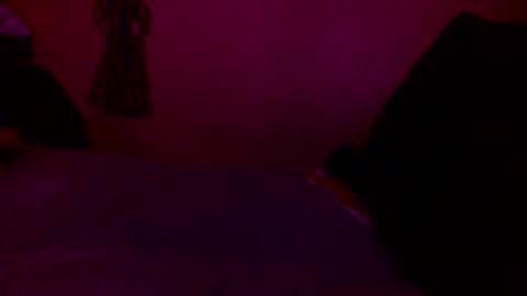 randobad12 online show from January 18, 10:06 pm