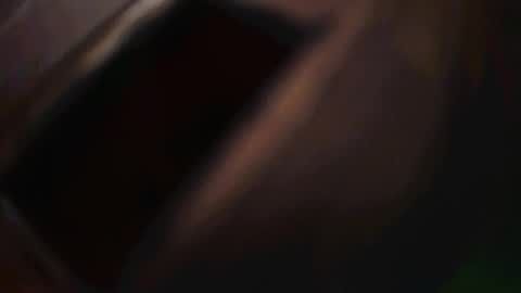 rarvet online show from December 1, 12:48 am